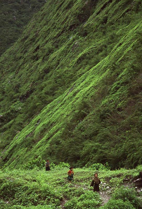 WT 1000 151-17 Nepal.jpg